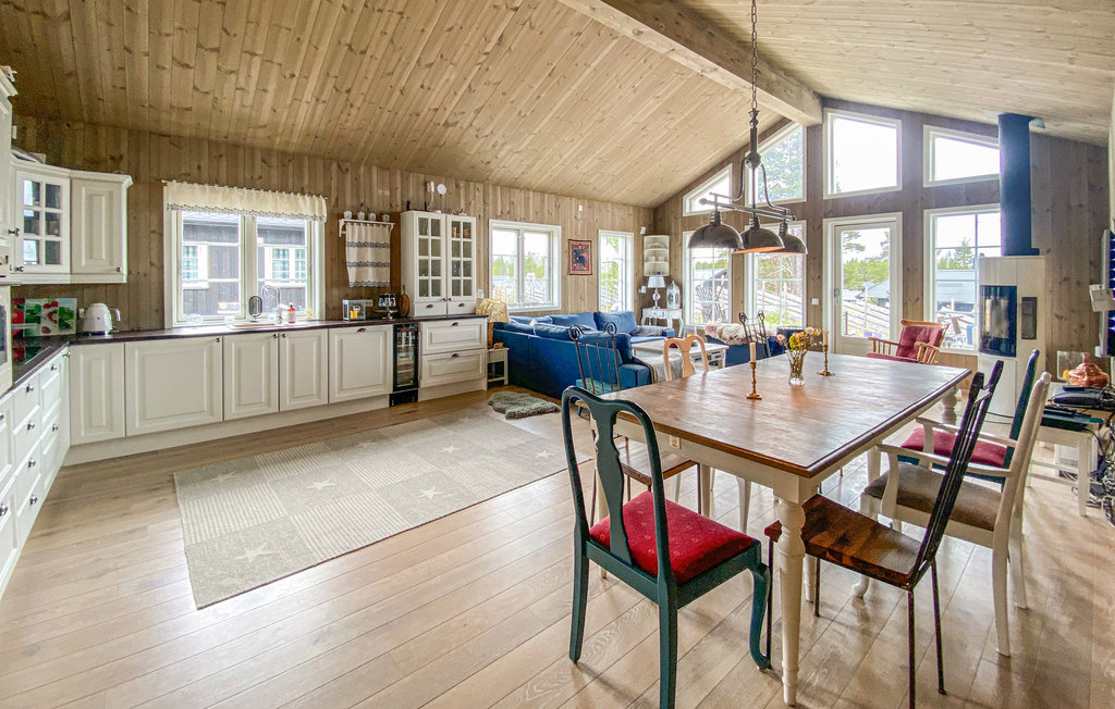 Ferienhaus - Tisleidalen/Valdres , Norwegen - N32096 5