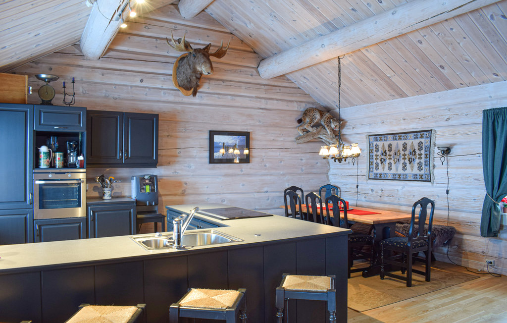 Feriehuse - Filefjell / Tyinkrysset , Norge - N32700 4