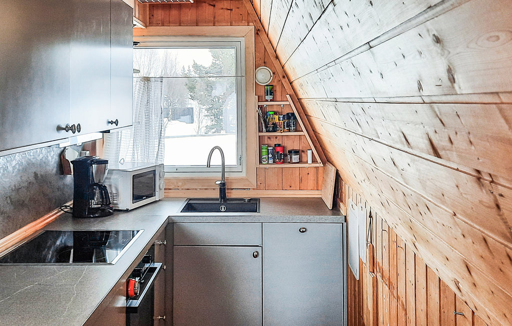 Ferienhaus - Beitostølen/Valdres , Norwegen - N32063 5