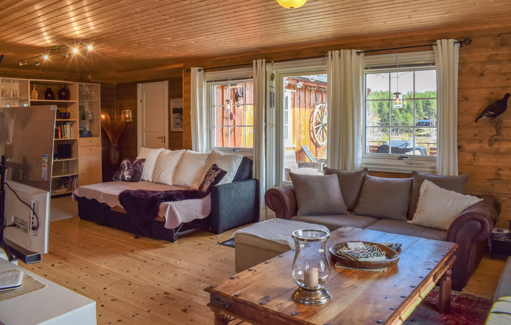 Ferienhaus - Tisleidalen , Norwegen - N32097 5