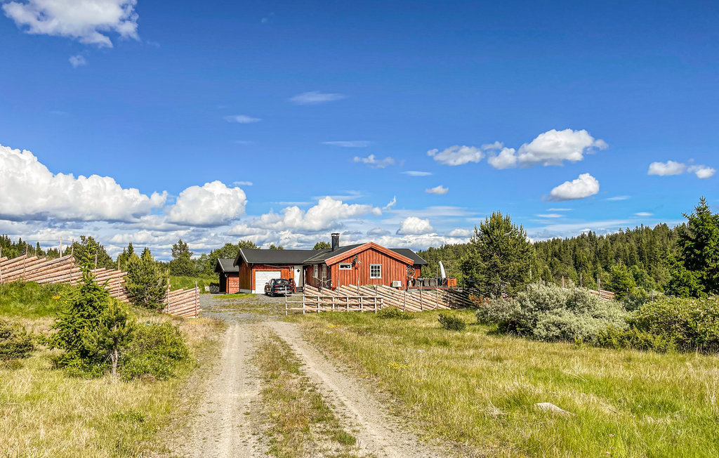 Ferienhaus - Tisleidalen , Norwegen - N32097 8