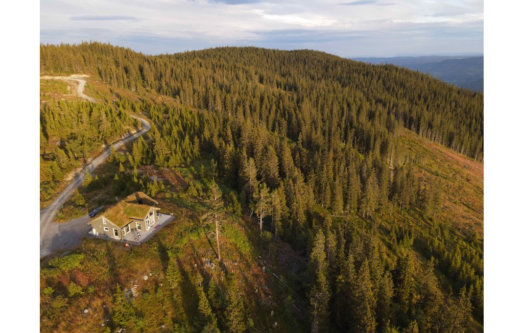 Ferienhaus - Valdres , Norwegen - N32056 12