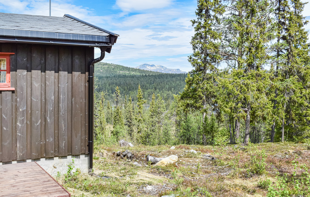 Ferienhaus - Heggenes/Valdres , Norwegen - N32043 8
