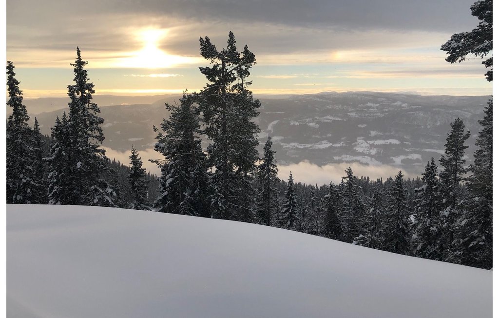 Ferienhaus - Valdres , Norwegen - N32056 23