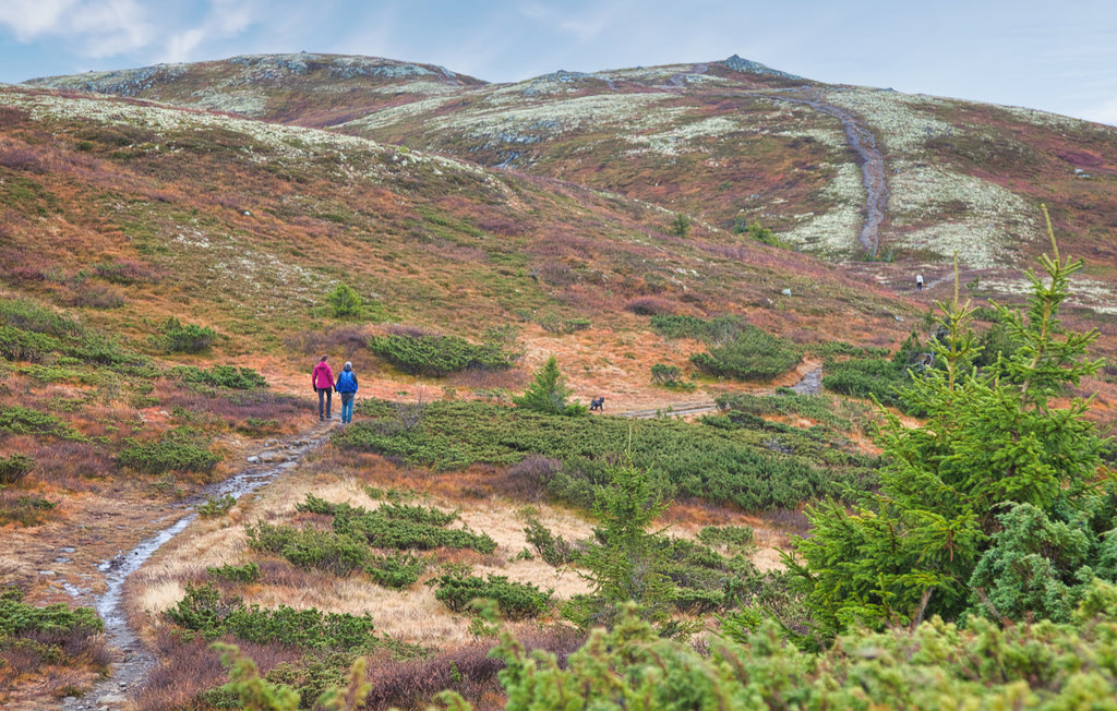 Ferienhaus - Valdres , Norwegen - N32067 21