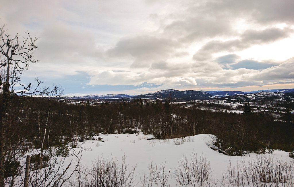 Ferienhaus - Vang/Henåsen , Norwegen - N32804 15