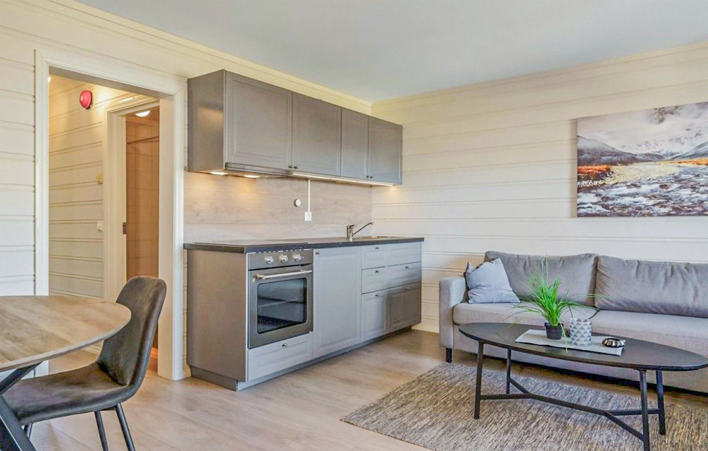 Semesterhus - Filefjell/Tyinkrysset , Norge - N32058 4