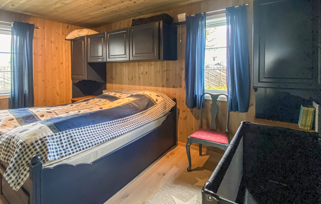 Ferienhaus - Tisleidalen/Valdres , Norwegen - N32096 8