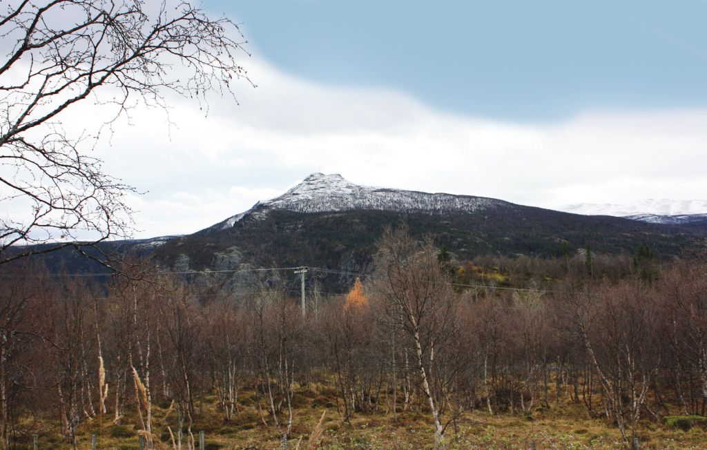 Ferienhaus - Vang/Henåsen , Norwegen - N32804 12