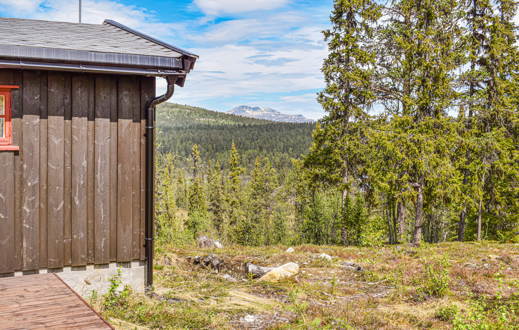 Ferienhaus - Heggenes/Valdres , Norwegen - N32043 7