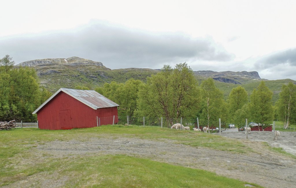 Semesterhus - Tyinkrysset , Norge - N32767 5