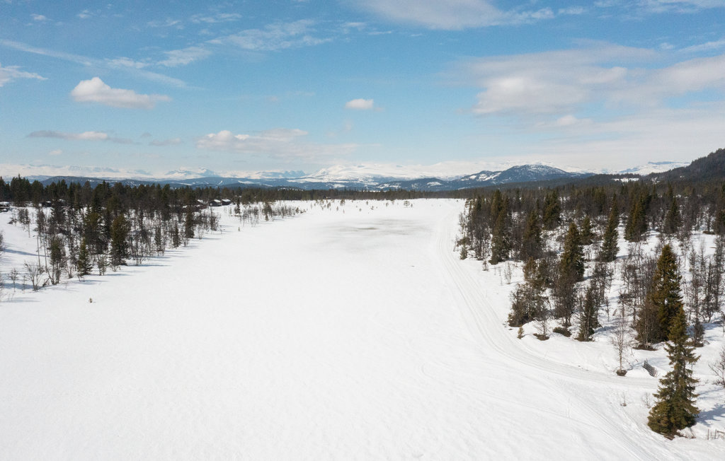 Ferienhaus - Beitostølen/Valdres , Norwegen - N32063 2