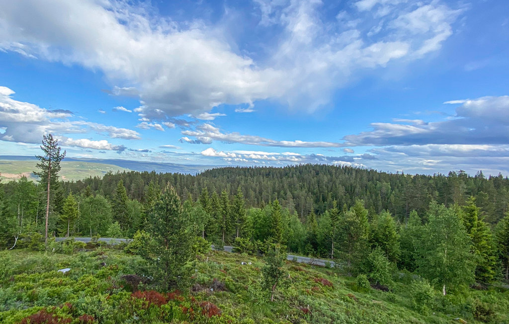 Feriehuse - Hov/Søndre Land , Norge - N32071 9