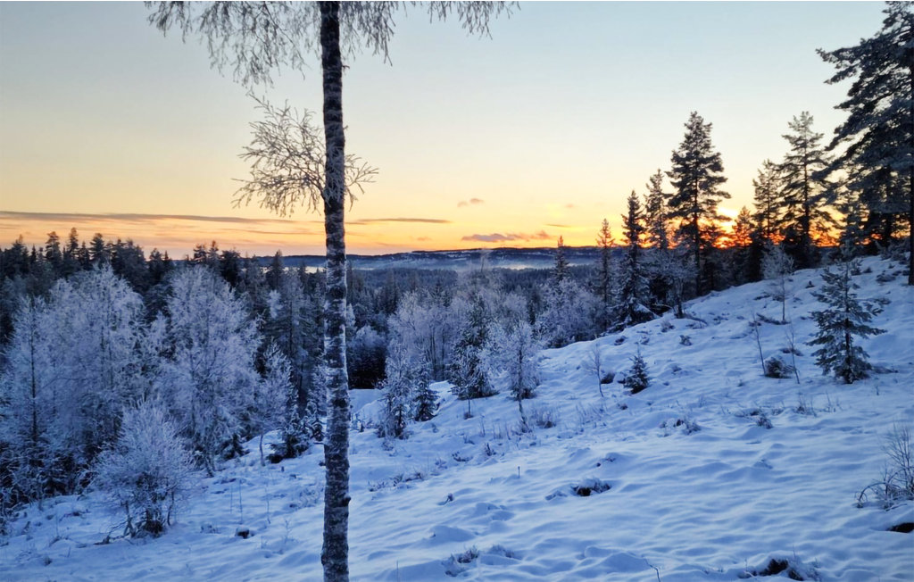 Feriehuse - Hov/Søndre Land , Norge - N32071 18