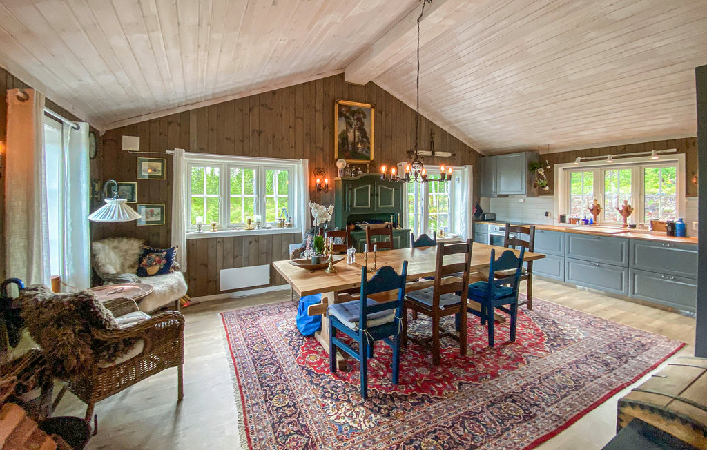 Feriehuse - Hov/Søndre Land , Norge - N32071 3