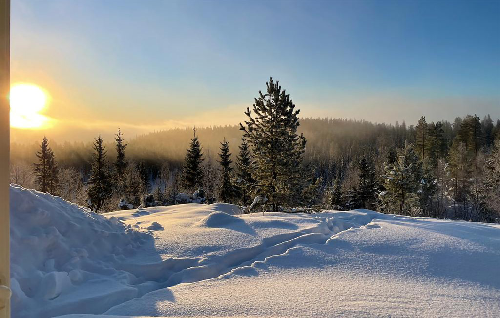 Feriehuse - Hov/Søndre Land , Norge - N32071 29