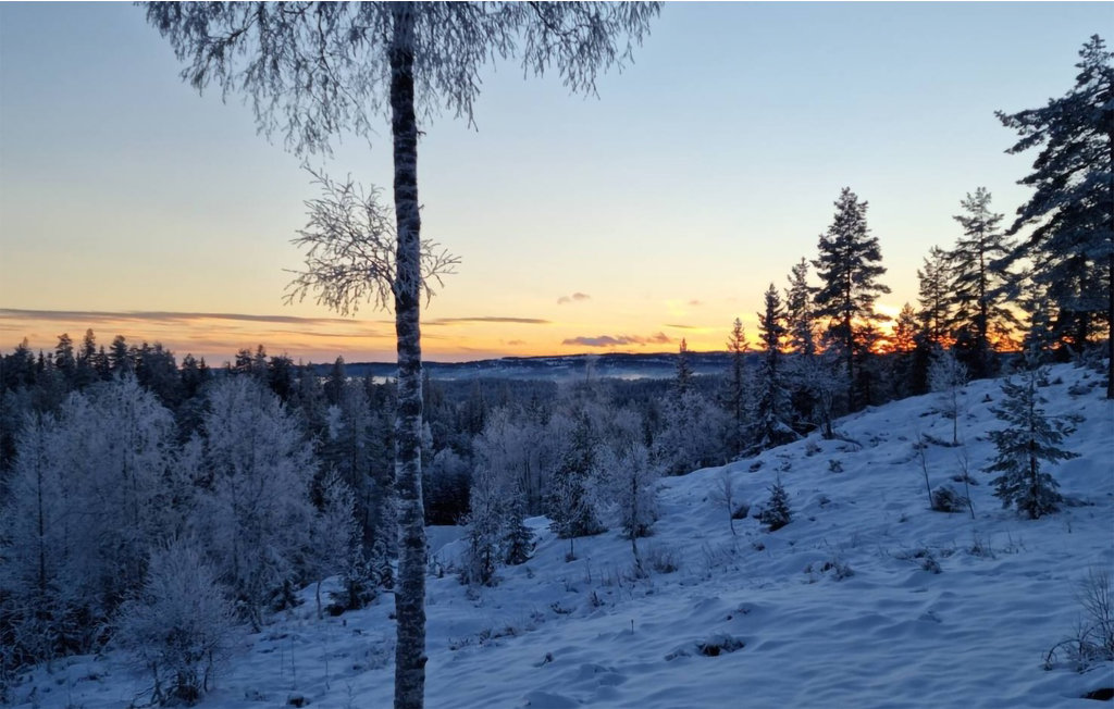 Feriehuse - Hov/Søndre Land , Norge - N32071 27