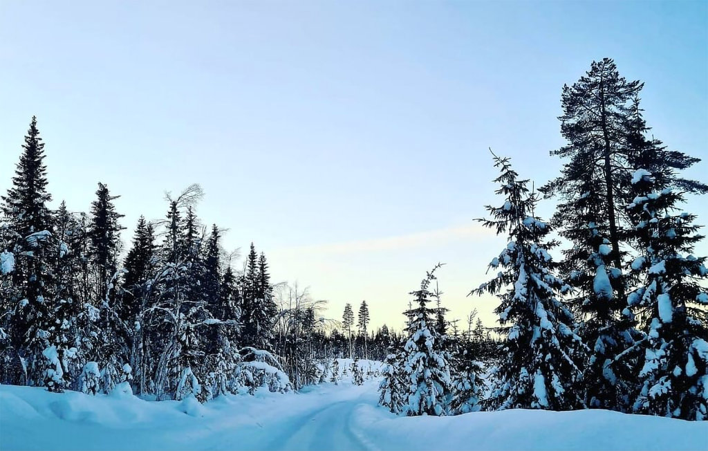 Feriehuse - Hov/Søndre Land , Norge - N32071 28