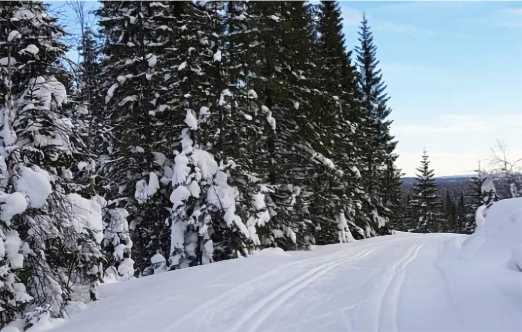 Feriehuse - Hov/Søndre Land , Norge - N32071 15
