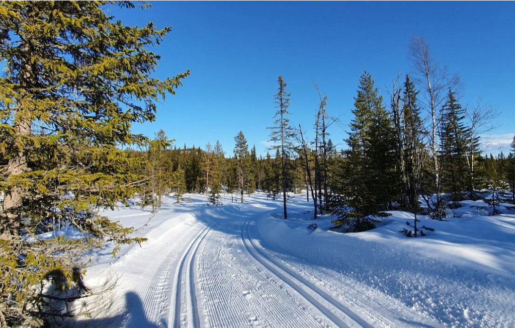 Feriehuse - Hov/Søndre Land , Norge - N32071 14
