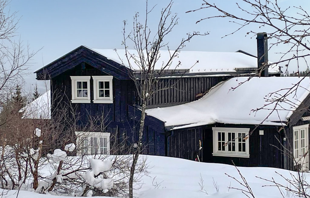 Feriehuse - Hov/Søndre Land , Norge - N32071 10