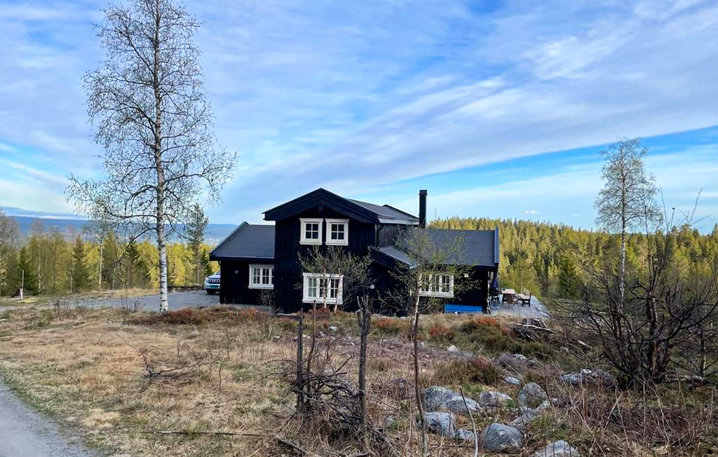 Feriehuse - Hov/Søndre Land , Norge - N32071 1