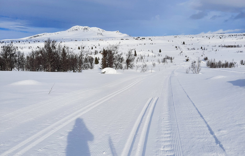 Ferienhaus - Beitostølen/Valdres , Norwegen - N32063 11