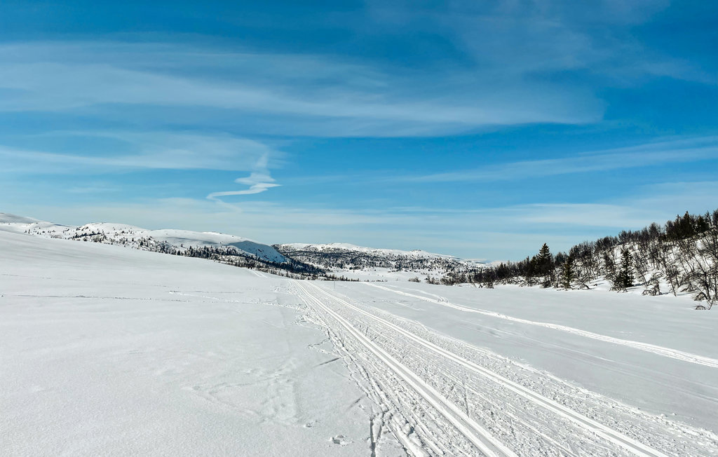 Ferienhaus - Reinli, Sør-Aurdal, Norge , Norwegen - N32078 26