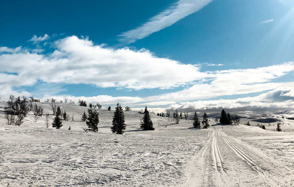 Ferienhaus - Reinli, Sør-Aurdal, Norge , Norwegen - N32078 27