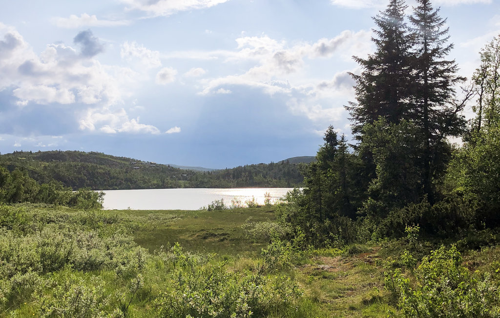 Ferienhaus - Reinli, Sør-Aurdal, Norge , Norwegen - N32078 28