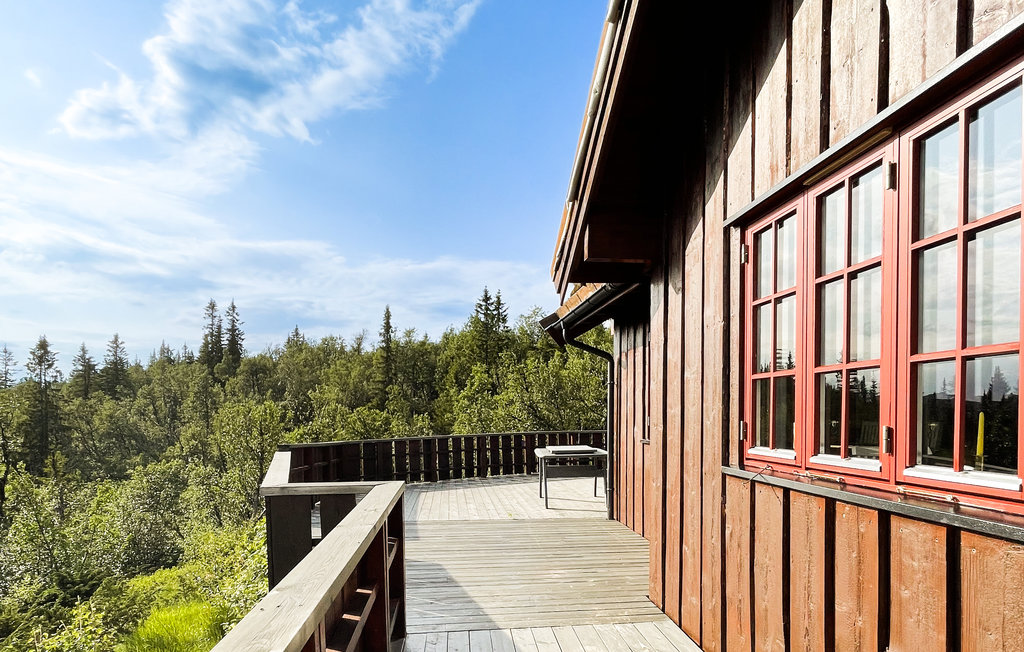 Ferienhaus - Reinli, Sør-Aurdal, Norge , Norwegen - N32078 10