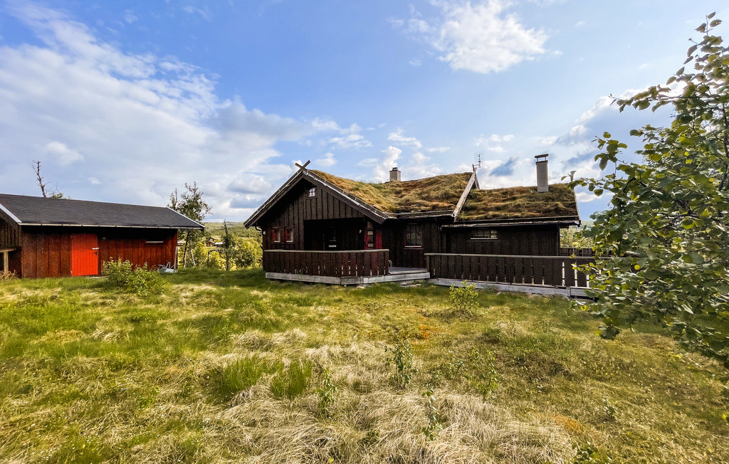 Ferienhaus - Reinli, Sør-Aurdal, Norge , Norwegen - N32078 8
