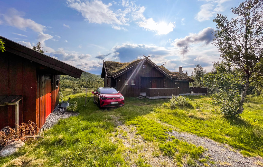 Ferienhaus - Reinli, Sør-Aurdal, Norge , Norwegen - N32078 9