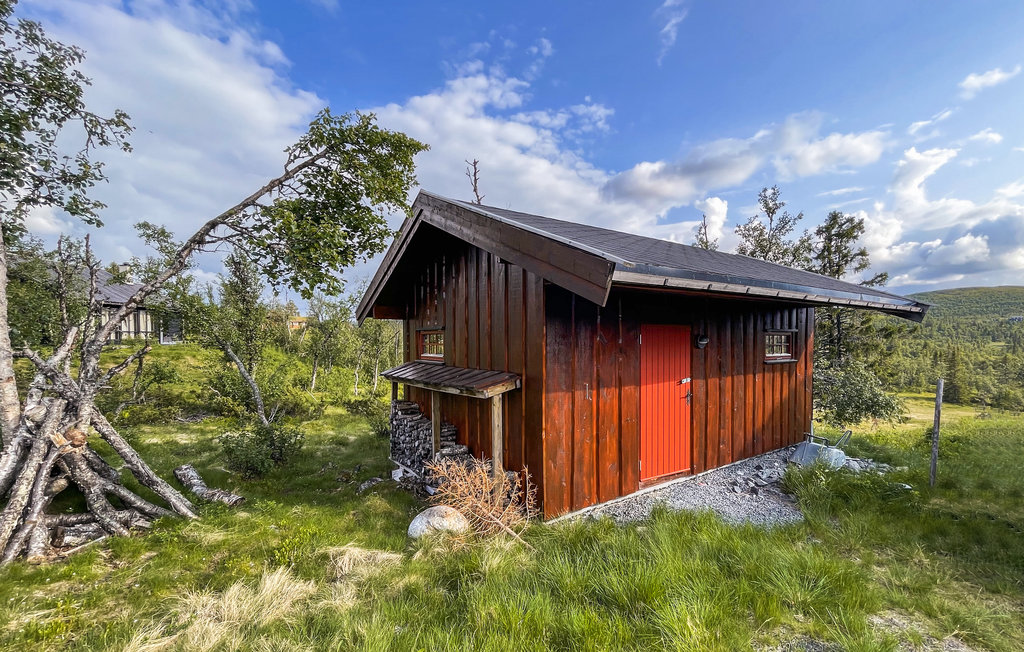 Ferienhaus - Reinli, Sør-Aurdal, Norge , Norwegen - N32078 12