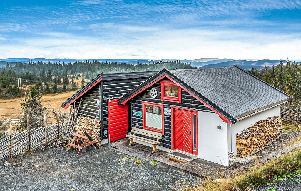 Feriehus - Valdres , Norge - N32052 10