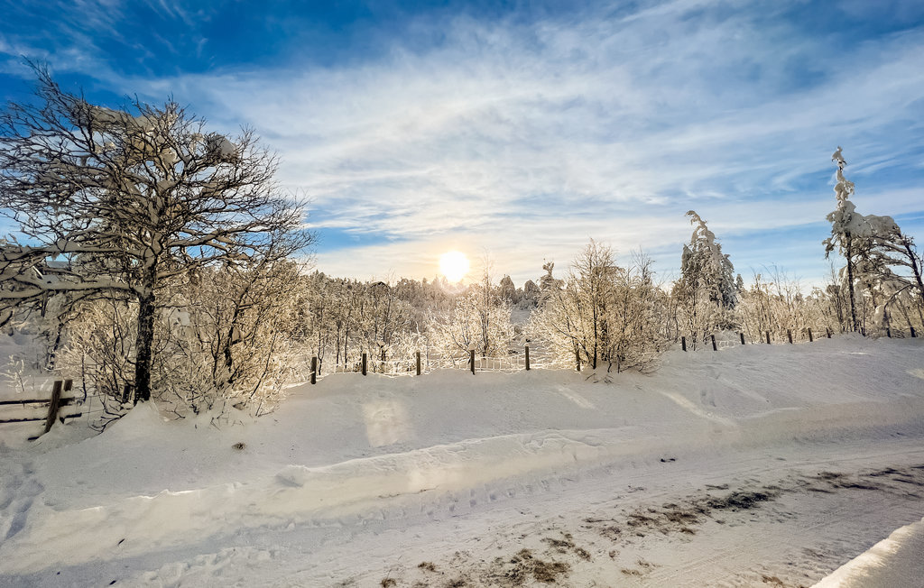 Semesterhus - Vaset , Norge - N32179 9