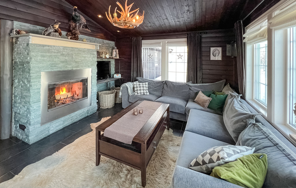 Semesterhus - Vaset , Norge - N32179 3