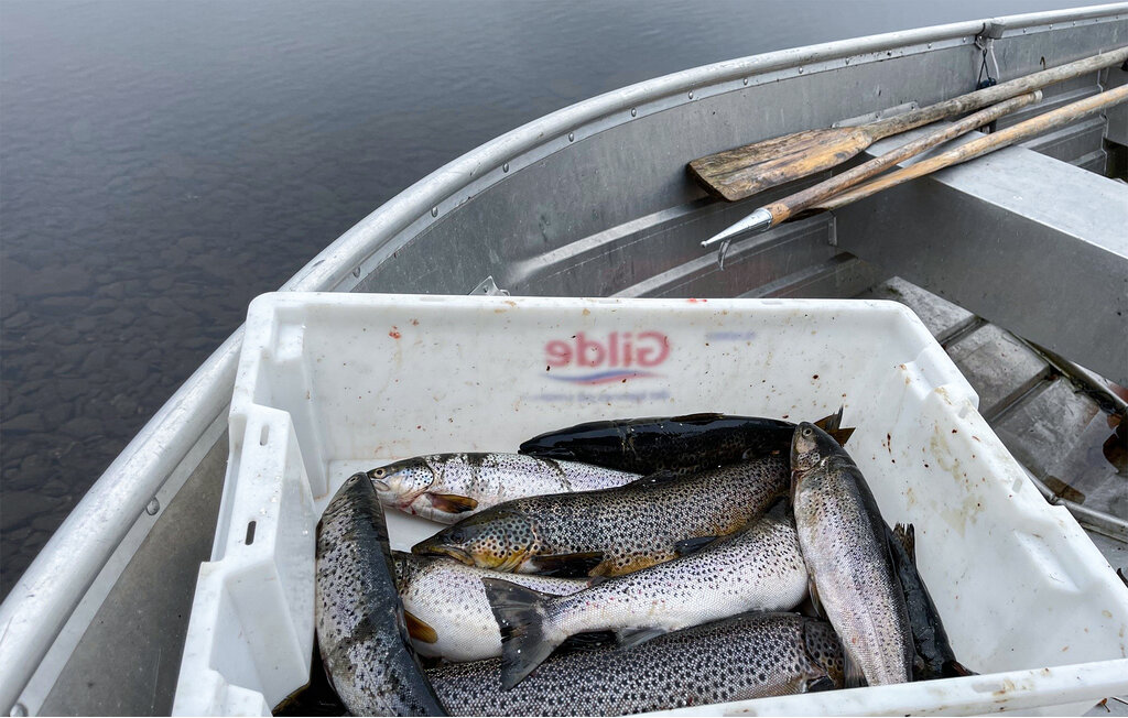 Domy wakacyjne - Valdres , Norwegia - N32082 13