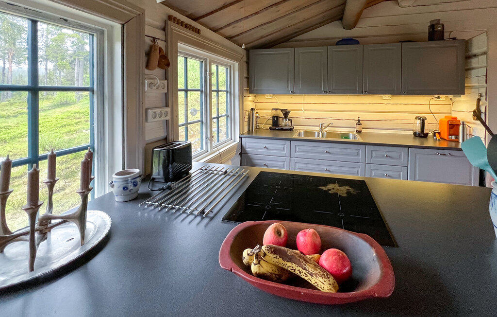 Ferienhaus - Valdres , Norwegen - N32084 8