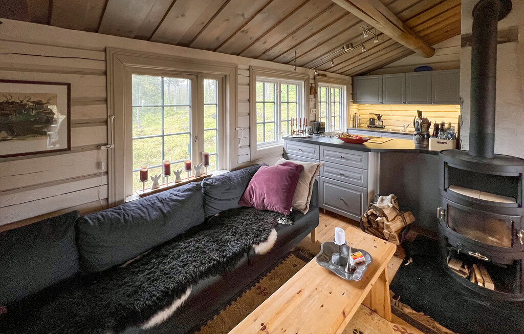 Ferienhaus - Valdres , Norwegen - N32084 5