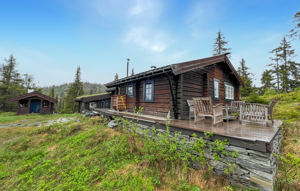 Ferienhaus - Valdres , Norwegen - N32084 1