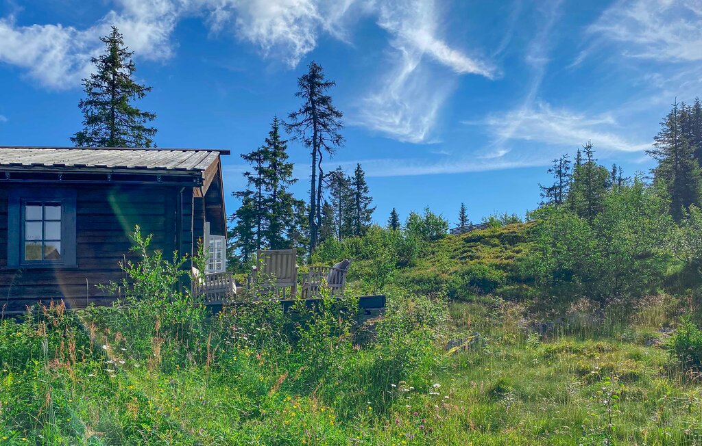 Ferienhaus - Valdres , Norwegen - N32084 12