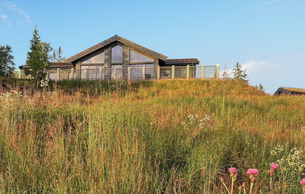 Ferienhaus - Valdres , Norwegen - N32067 9