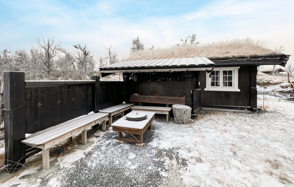 Ferienhaus - Valdres/Etnedal , Norwegen - N32149 9