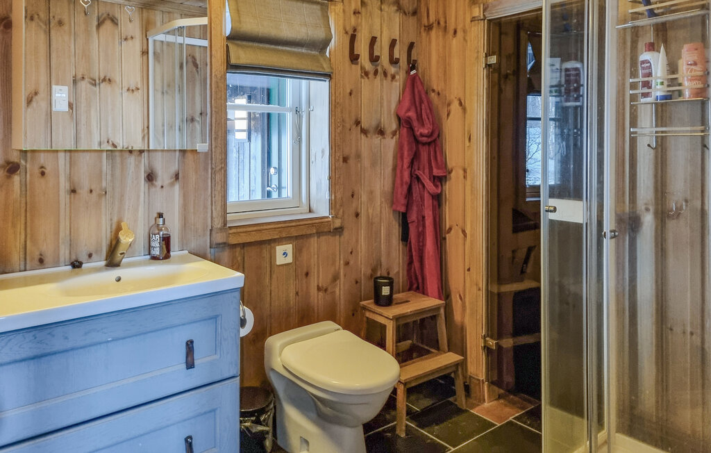 Ferienhaus - Valdres , Norwegen - N32147 14