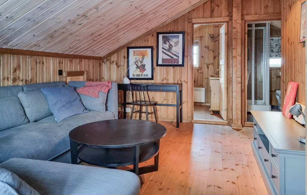 Ferienhaus - Valdres , Norwegen - N32147 7