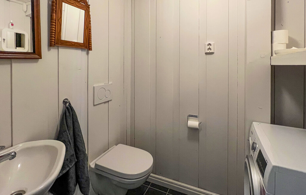 Ferienhaeuser - Aurdal/Valdres , Norwegen - N32136 25