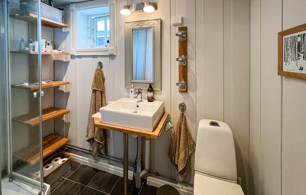 Ferienhaeuser - Aurdal/Valdres , Norwegen - N32136 26