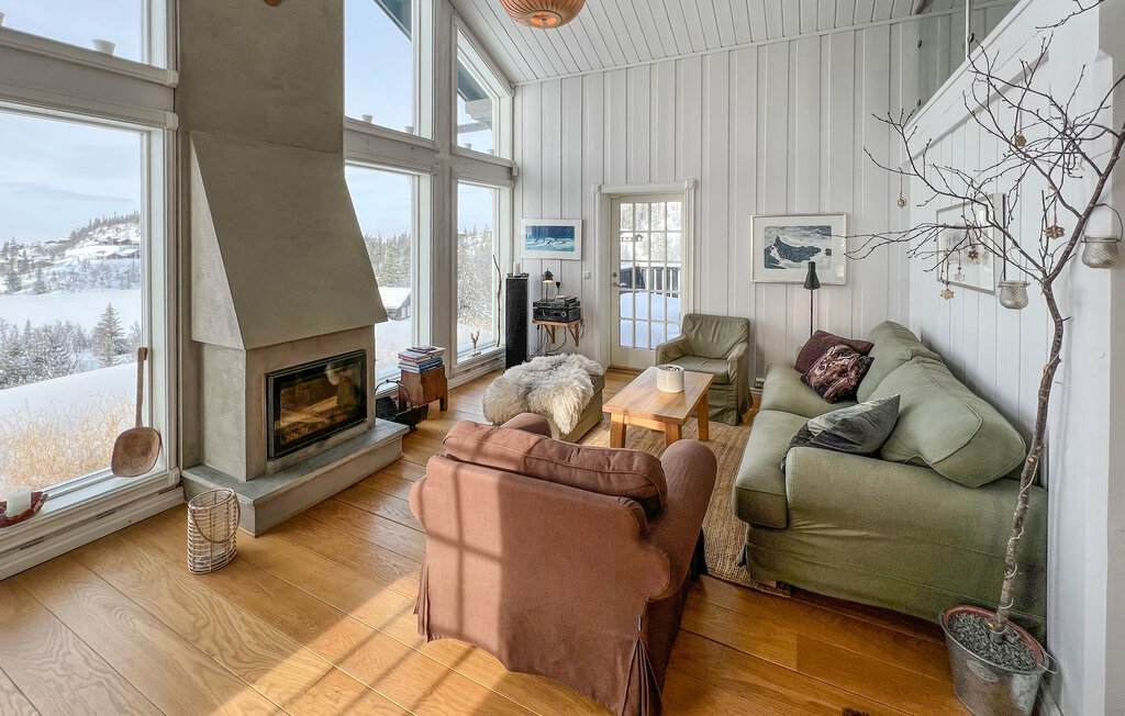 Ferienhaeuser - Aurdal/Valdres , Norwegen - N32136 2