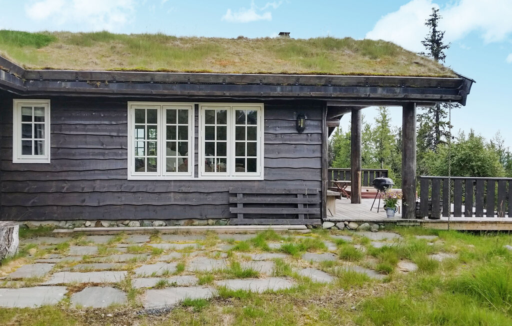 Ferienhaeuser - Valdres/Gamlestølen , Norwegen - N32092 10